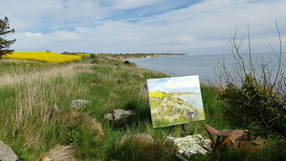 Bild "Ostsee / Ærø / Mølledamsvej" (2022)