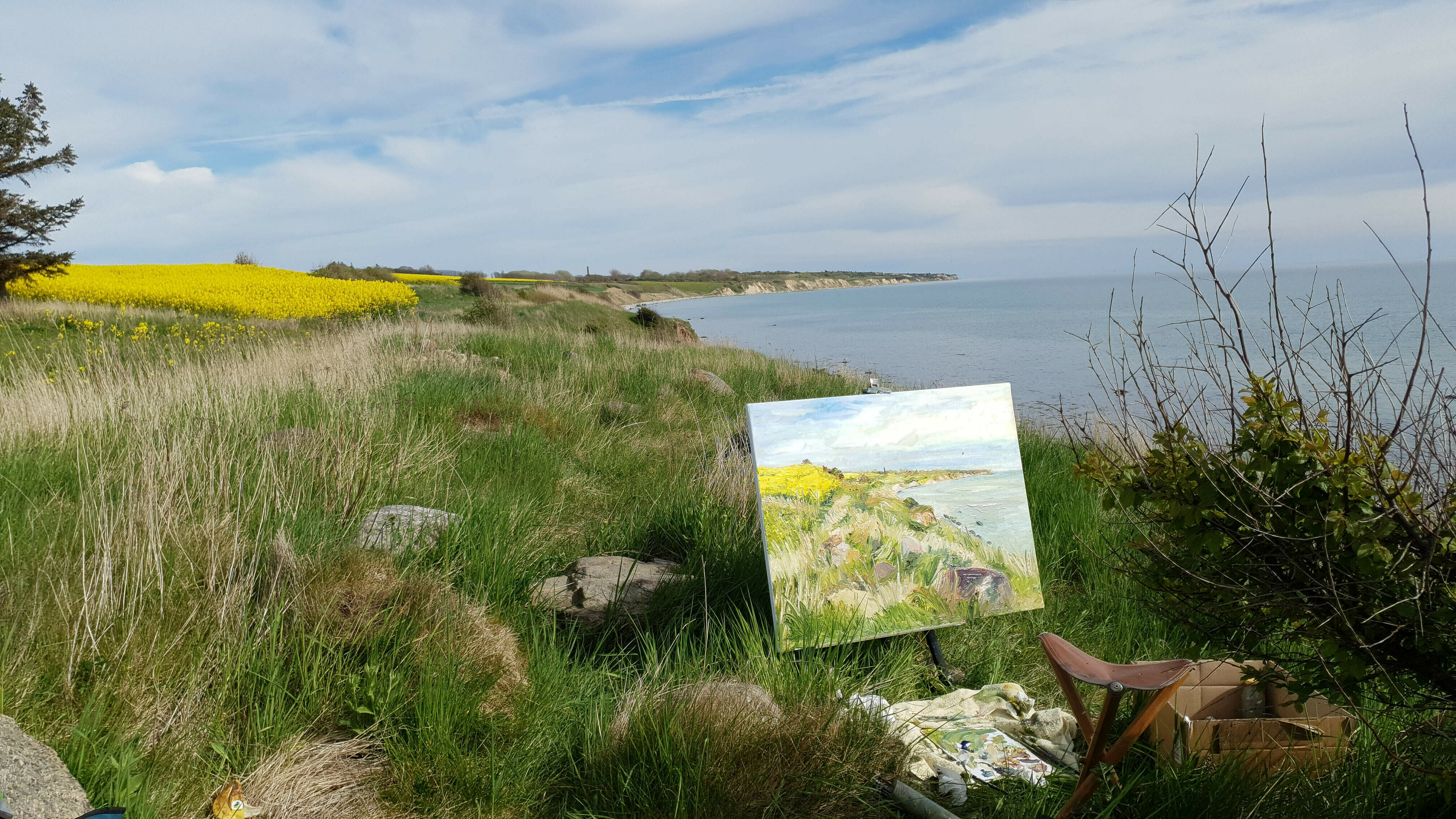 Bild "Ostsee / Ærø / Mølledamsvej" (2022)