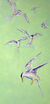 Picture "Flying high (terns)" (2020)