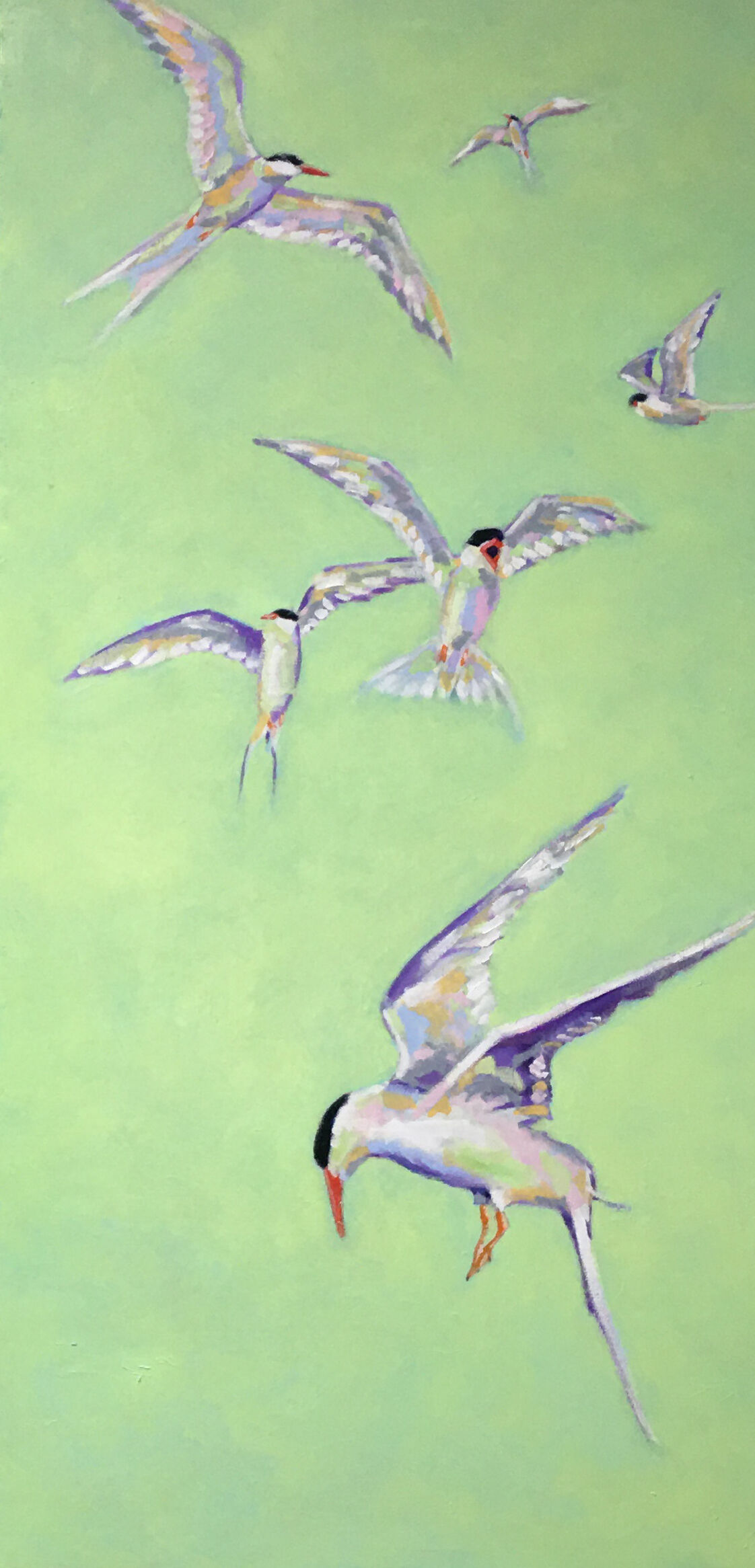 Picture "Flying high (terns)" (2020)