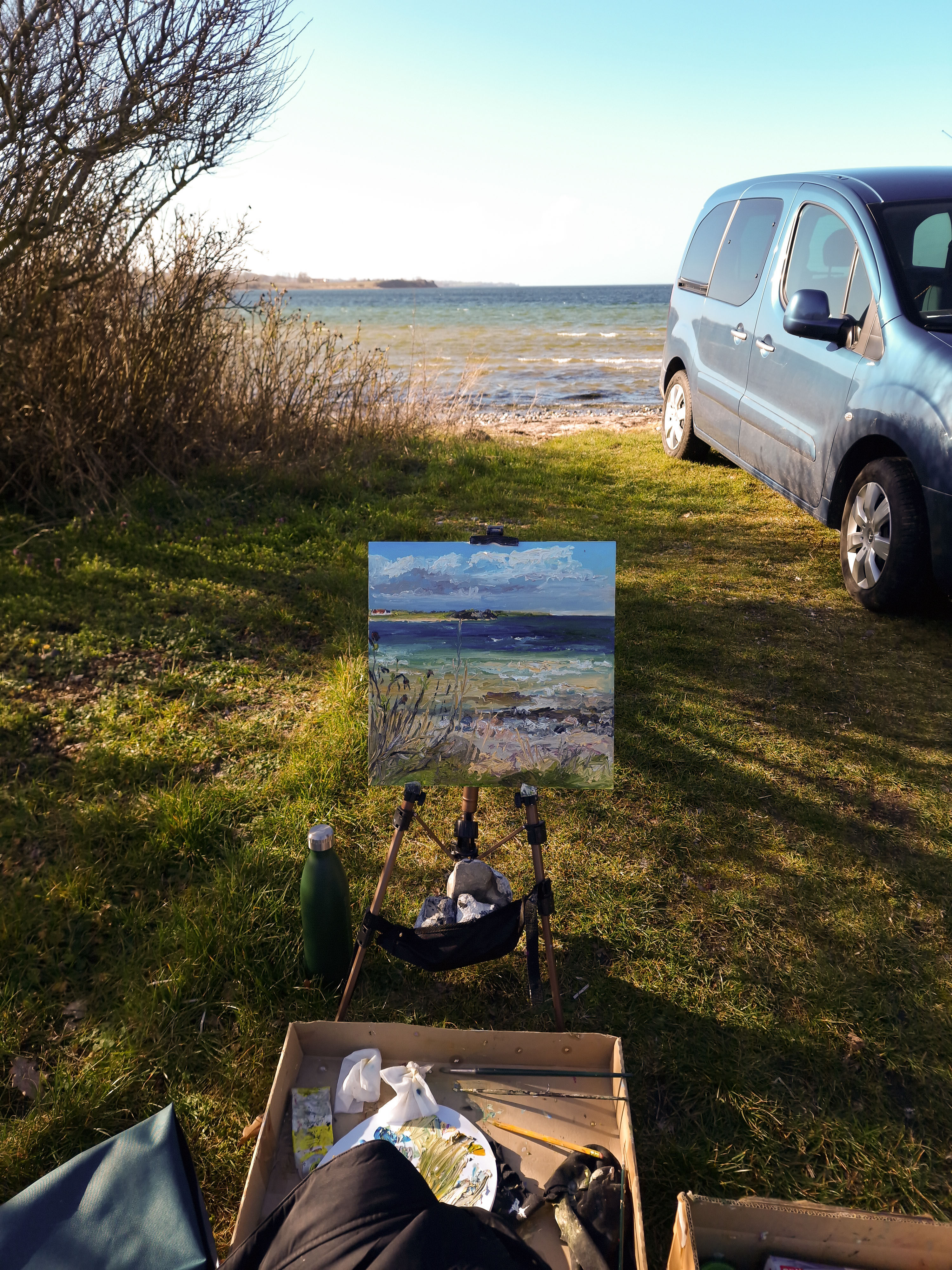 Picture "Sunny afternoon / Baltic Sea / Ærø / Borgnæs" (2023)