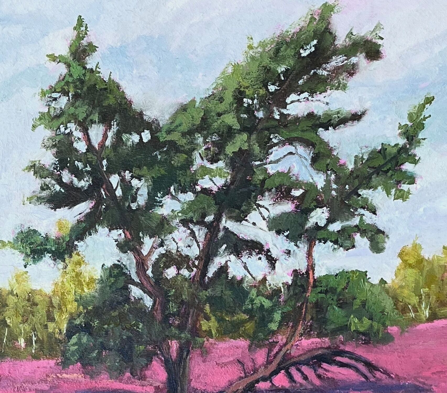 Picture "Heather blossom Lüneburg Heath" (2019)