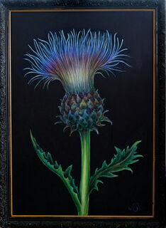 Picture "Great thistle" (2022)