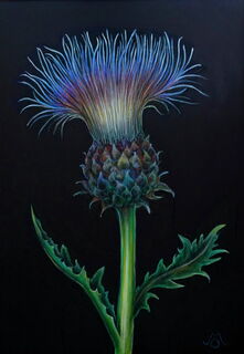 Picture "Great thistle" (2022)