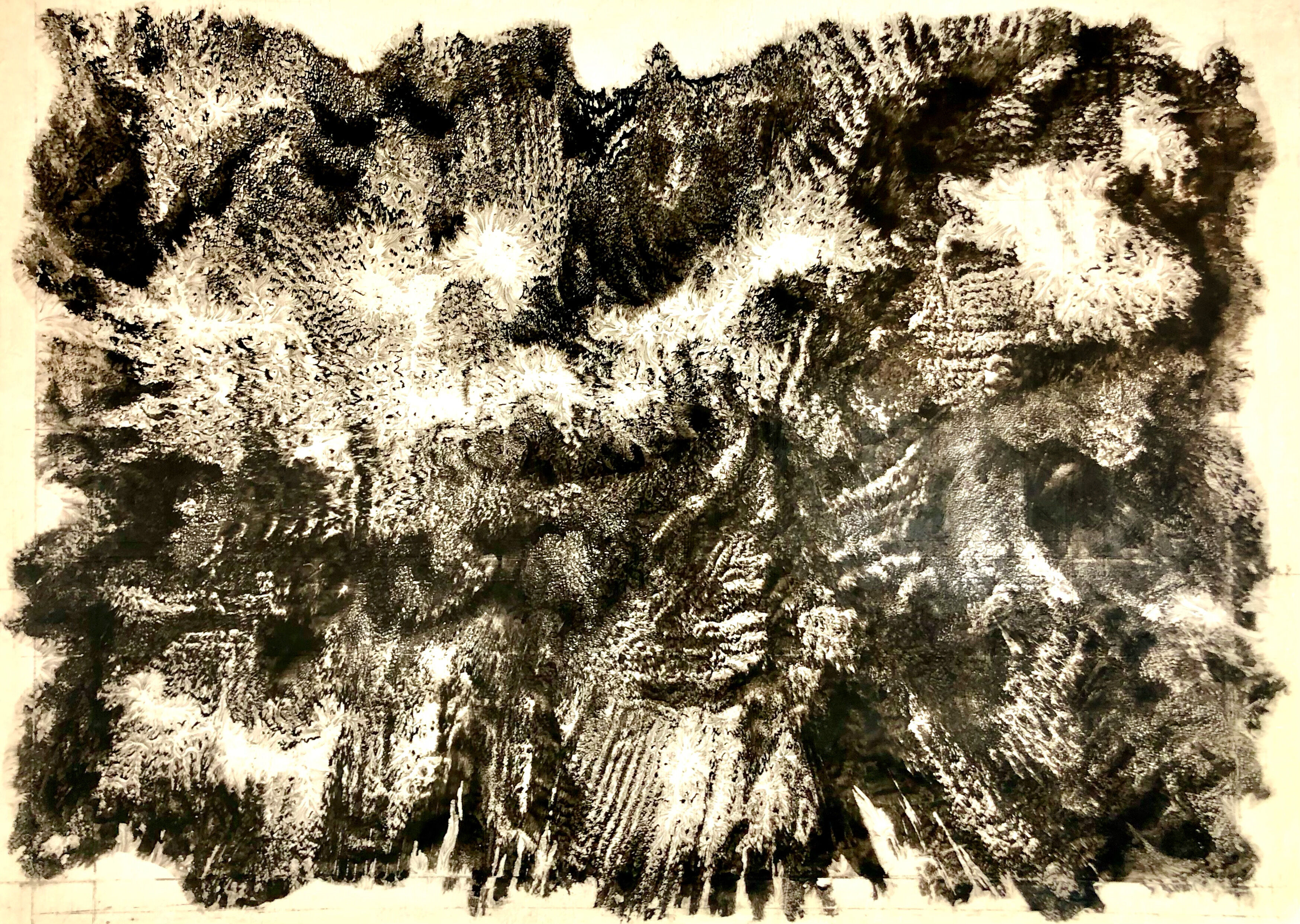 Bild "Fossil auf Papier" (2023)