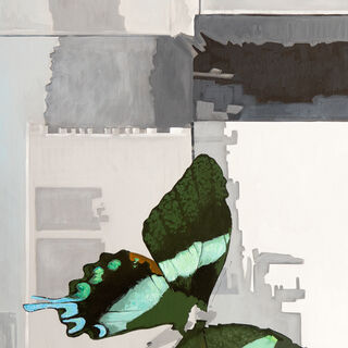 Picture "Lepidoptera, butterflies" (2014)