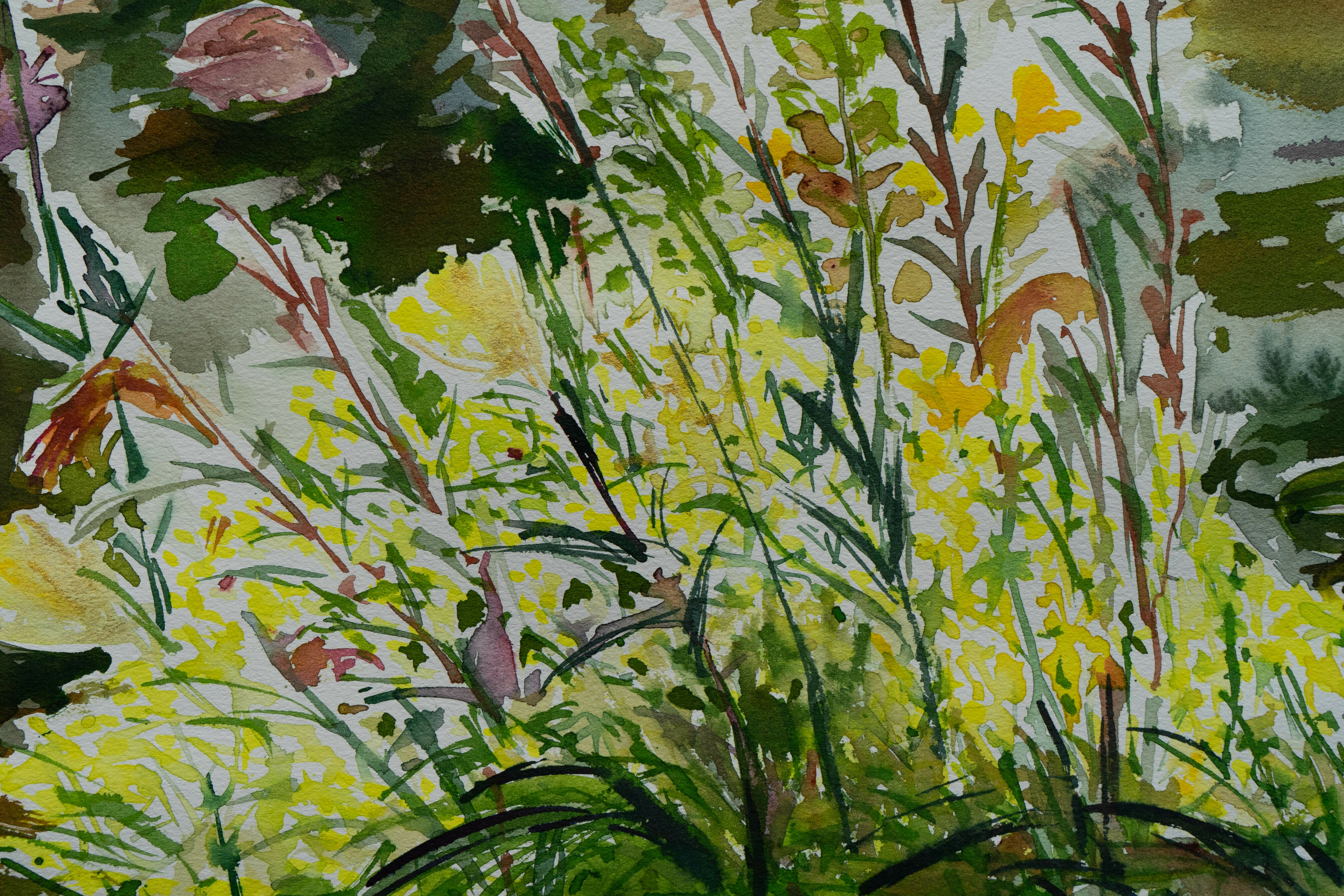 Picture "Evening primrose by the pond" (2023)