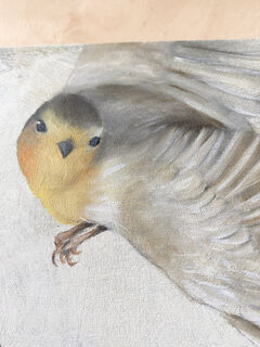 Picture "Robin" (2021)
