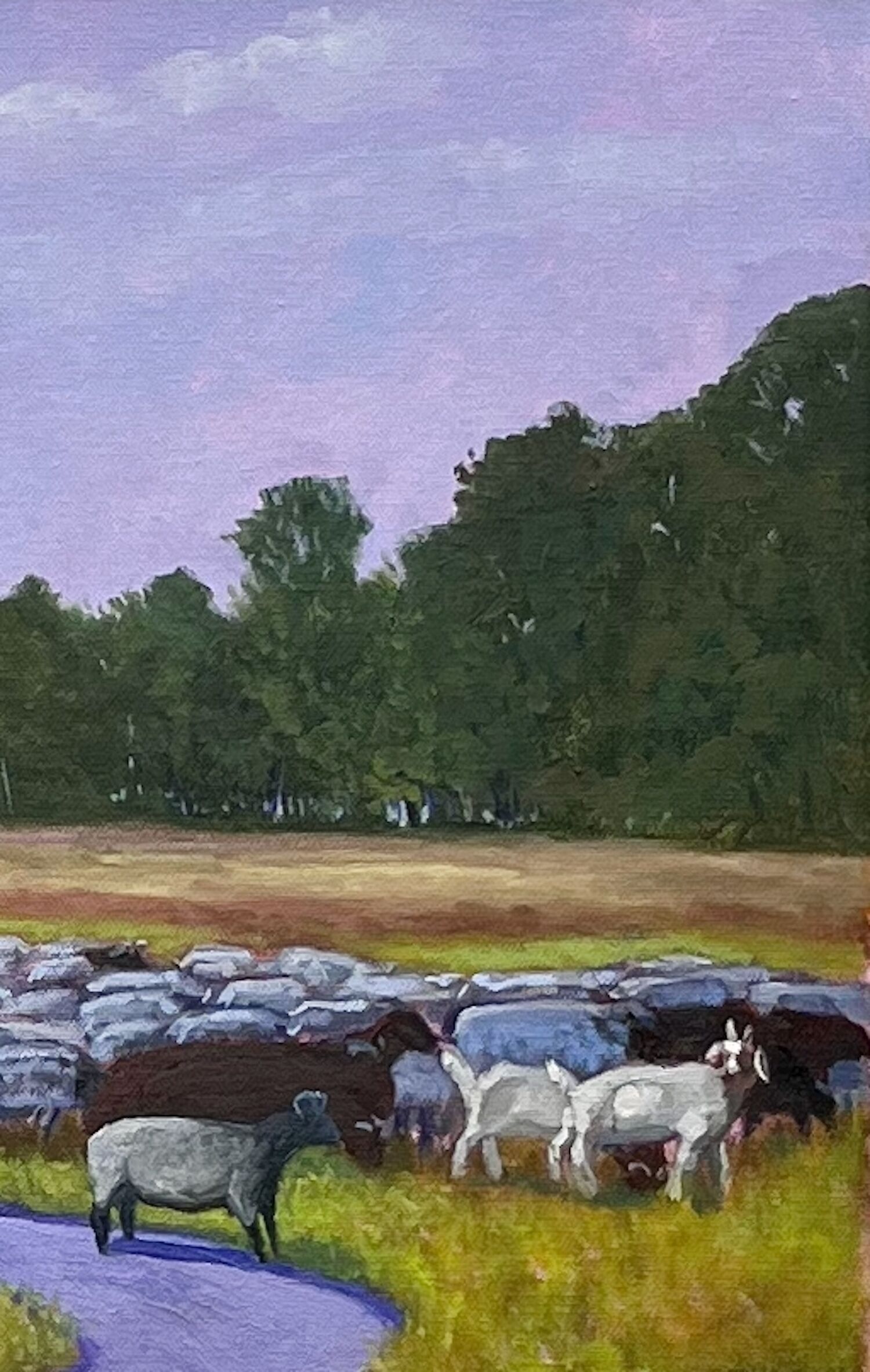 Picture "Ge(mäh)chlich in the Schneverdinger Heide" (2025)
